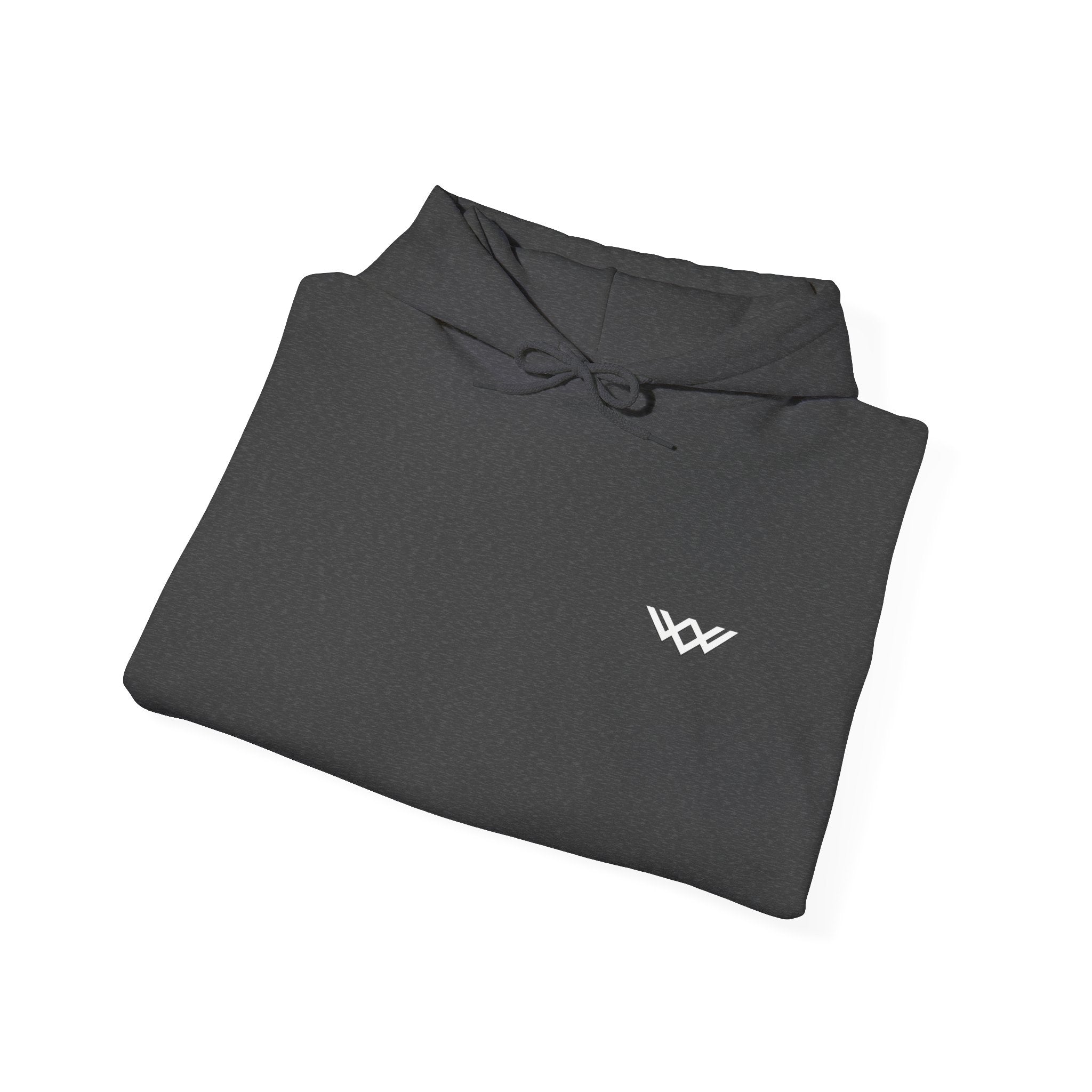 Unisex Signature Front Statement Back Hoodie | FUL